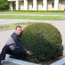 ���������� �����������, ���� ������� Cotyra, 41 ���, ������������ 