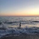 ���������� �����������, ���� ����� �����, 20 ���, ������������ ��� ������, ����� � ���������, c�������� ���������