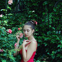  ,   Nifertity, 24 ,   ,   , c , 