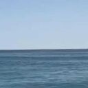 ���������� �����������, ���� ������� ����, 42 ����, ������������ ��� ������, ����� � ���������, c�������� ���������