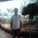 ���������� �����, ���� ������� ���, 51 ���, ������������ ��� ����� � ���������, c�������� ���������