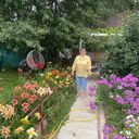  ,   , 60 ,   