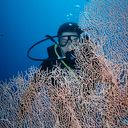 ���������� ������, ���� ������� ������, 57 ���, ������������ ��� ������