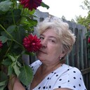   ,   , 71 ,   c 