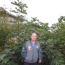  ,   , 42 ,   