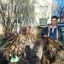 ���������� ����������, ���� ������� ������, 39 ���, ������������ ��� c�������� ���������, ���������