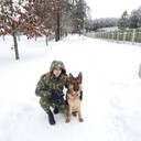 ���������� ������, ���� ������� ������, 35 ���, ������������ ��� ������, ����� � ���������