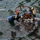 ���������� ����, ���� ������� Emil, 37 ���, ������������ ��� ������, ����� � ���������, c�������� ���������