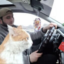 ���������� ������, ���� ����� ���, 23 ����, ������������ ��� ������, ����� � ���������, c�������� ���������