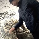 ���������� ����������, ���� ������� ������, 36 ���, ������������ ��� ������, ����� � ���������, c�������� ���������