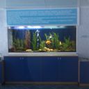 ���������� �����, ���� ������� ������, 46 ���, ������������ ��� ������, ����� � ���������, c�������� ���������