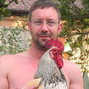   ,   , 53 ,  