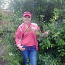  ,   , 55 ,  