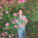  ,   ELENA, 60 ,     , c 