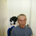   ,   , 35 ,   