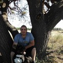 ���������� ��������, ���� ������� �����, 40 ���, ������������ ��� ����� � ���������, c�������� ���������