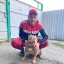 ���������� �������, ���� ������� �������, 31 ���, ������������ ��� ������