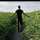  ,   , 48 ,   ,   , c , 