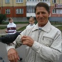  ,   , 74 ,   , 