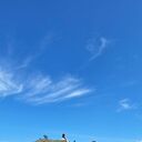 ���������� ������, ���� ������� ����, 46 ���, ������������ ��� ������, ����� � ���������, c�������� ���������