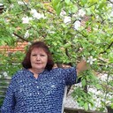  ,   , 62 ,  