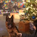 ���������� ��������, ���� ������� ����, 34 ����, ������������ ��� ������, ����� � ���������, c�������� ���������