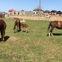 ���������� ���������, ���� ������� �����, 40 ���, ������������ ��� ������, ����� � ���������, c�������� ���������, ���������