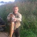 ���������� �����, ���� ������� �������, 49 ���, ������������ ��� ������