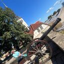 ���������� ����, ���� ������� ����, 49 ���, ������������ ��� ������, ����� � ���������