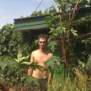 ���������� ������, ���� ������� ���������, 41 ���, ������������ ��� ������, ����� � ���������, c�������� ���������