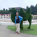  ,   , 60 ,   ,   