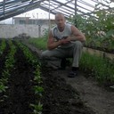 ���������� �����������, ���� ������� ����, 43 ����, ������������ ��� ������, ����� � ���������, c�������� ���������