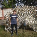 ���������� ������, ���� ������� �����, 43 ����, ������������ ��� ������, ����� � ���������, c�������� ���������