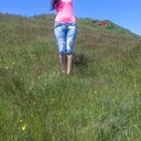 ���������� ������, ���� ������� ������, 38 ���, ������������ ��� ������, ����� � ���������, c�������� ���������