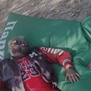 ���������� ������, ���� ������� James, 29 ���, ������������ ��� ������, ����� � ���������