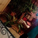 ���������� �����-���������, ���� ������� �����, 48 ���, ������������ ��� ������, ����� � ���������, c�������� ���������