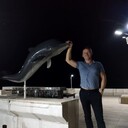 ���������� �������, ���� ������� �����, 46 ���, ������������ ��� c�������� ���������