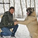  ,   Mark, 43 ,   