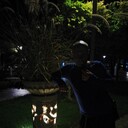 ���������� ��������, ���� ������� ���, 44 ����, ������������ ��� ������, ���������