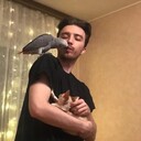 ���������� �������, ���� ������� Sandro, 29 ���, ������������ ��� ������, ����� � ���������