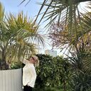 ���������� ����, ���� ������� �����, 46 ���, ������������ ��� ����� � ���������, c�������� ���������