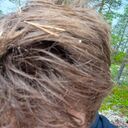 ���������� ������������, ���� ����� �������, 21 ���, ������������ ��� ����� � ���������, c�������� ���������