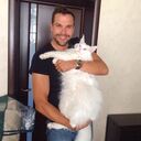 ���������� ������, ���� ������� �����, 37 ���, ������������ ��� c�������� ���������