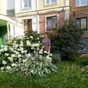  ,   , 65 ,     , c 
