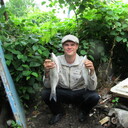  ,   Anemon, 31 ,   ,   , c 