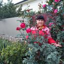  ,   , 53 ,   c , 