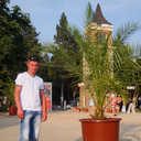  ,   , 43 ,     , c 