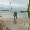 ���������� ������������, ���� ������� Zaur, 36 ���, ������������ ��� ������, ����� � ���������