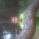 ���������� ����, ���� ������� ������, 38 ���, ������������ ��� ������, ����� � ���������, c�������� ���������