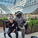 ���������� ������, ���� ������� ����, 41 ���, ������������ ��� ������, ����� � ���������